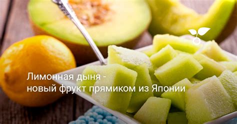История происхождения и особенности апельсино-лимона: сочетание двух фруктов в одном