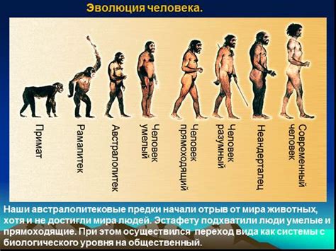 История происхождения легенды о Теньблоке в популярной песочнице