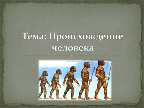 История происхождения фразы "на чиле чилить"