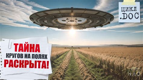 История расследования феномена кругов в посевах: от первых наблюдений до современных исследований