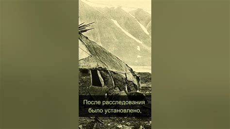 Исчезновение тела Дубровского: загадка для жителей местности