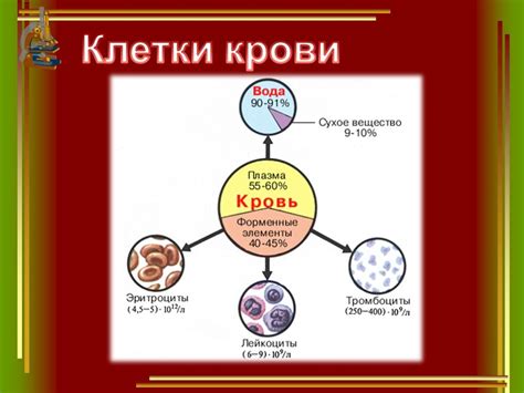 Итоговое решение проблемы низкого уровня крови в организме