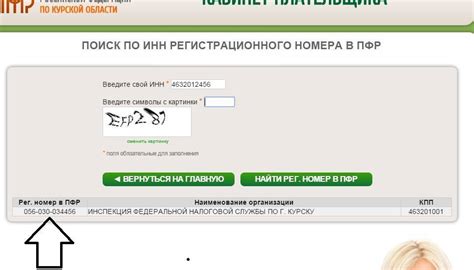 Какая информация доступна организации через регистрационный номер ПФР