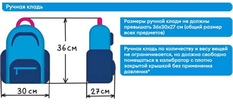 Какие вещи можно брать в кабину на рейс авиакомпании "Победа"