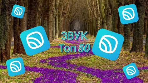 Как активировать премиумный доступ в популярной музыкальной платформе