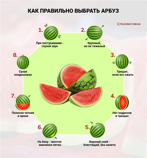 Как выбрать арбуз на основе звука, издаваемого плодом
