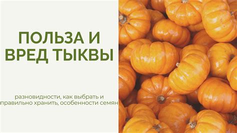Как выбрать и правильно хранить замороженные колечки кальмара