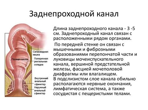 Как выявить нарушение функции прямой кишки