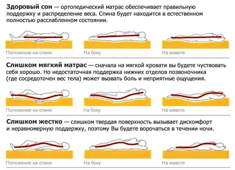 Как достичь правильного положения тела во время сна
