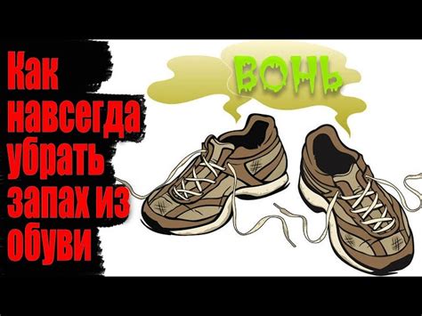 Как избавиться от неприятного звука при ходьбе в обуви: простые советы