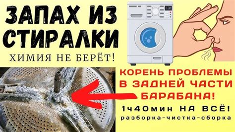 Как избежать неприятного запаха после стирки с использованием аммиака