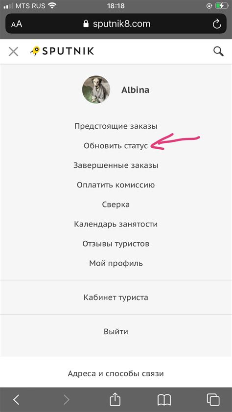 Как обновить статус пользователя на ВКонтакте для маленького пушистого создания