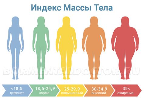 Как определить СДС ИМТ: полезные подсказки для оценки своего веса и состояния здоровья