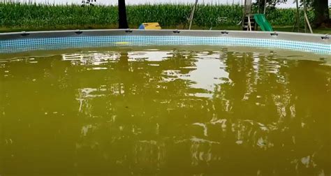 Как определить глинистую воду в бассейне