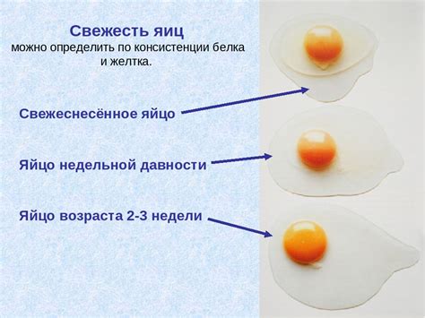 Как определить свежесть и готовность овощей к использованию