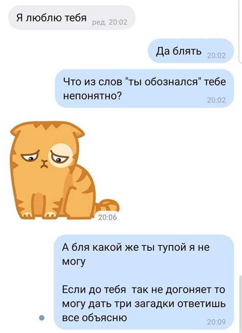 Как привлечь внимание дятла и вызвать его интерес