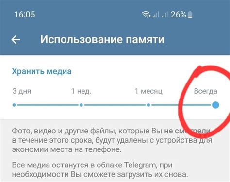 Как проверить текстовую настройку в приложении Telegram на смартфоне Apple