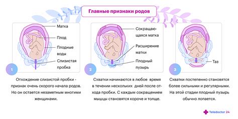 Как различить схватки от обычного дискомфорта или признаков приближающихся родов