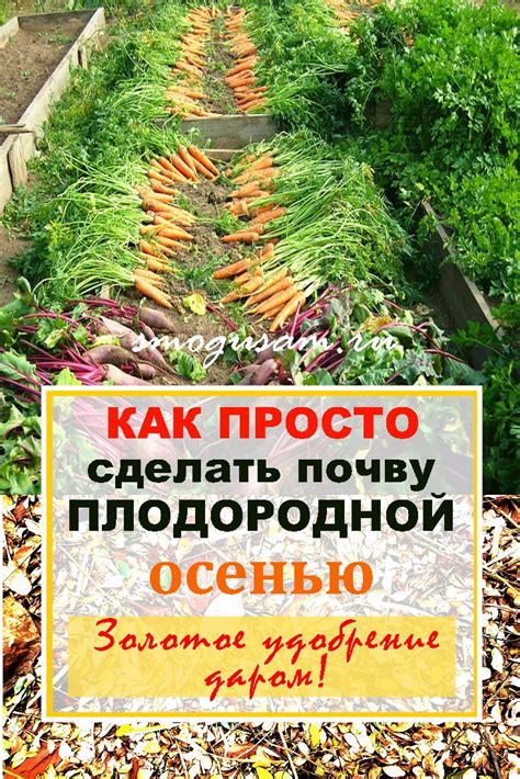 Как разнообразить состав посадки и восстановить плодородие грядки