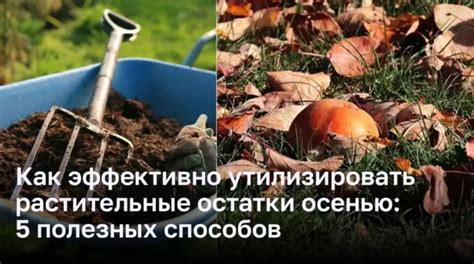 Как сохранить и подогреть остатки агмы: несколько полезных советов