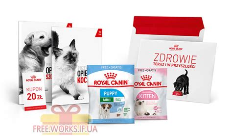 Как убедиться в подлинности корма Royal Canin: удобные и эффективные приёмы