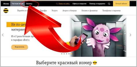 Как узнать остаток средств на корпоративном счёте: последовательное руководство