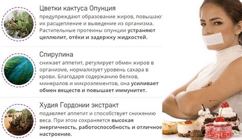Как уменьшить желание перекусывать и подавить аппетит