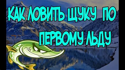 Как успешно противостоять белокрылке: полезные рекомендации и стратегии