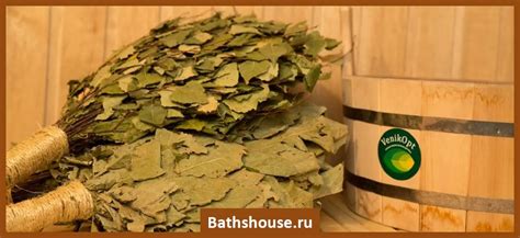 Как эффективно применять березовый и дубовый веник в бане