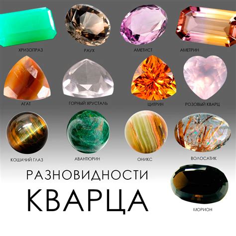 Камни и ракушки: их уникальные свойства и варианты использования