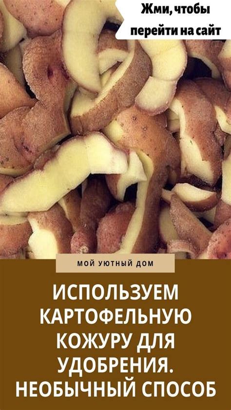 Картофельная кожура: естественный способ избавления от накопившегося дегтя