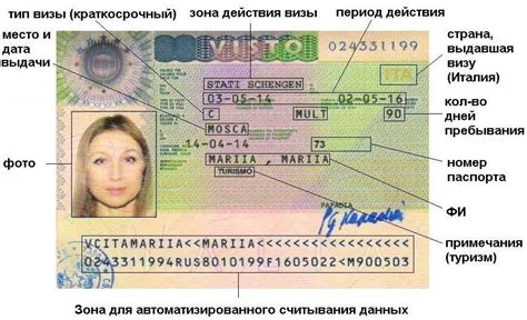 Категории виз С в Шенгенском соглашении и их особенности