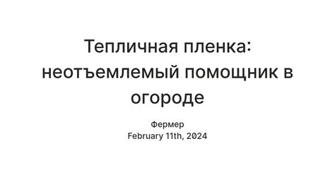 Квиноя - неотъемлемый помощник при сбалансированной диете