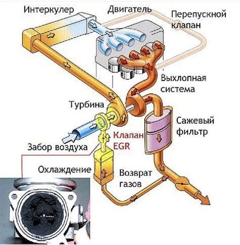 Клапан ЕГР: основное устройство и принцип работы