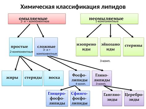 Классификация липидов с учетом их роли в организме