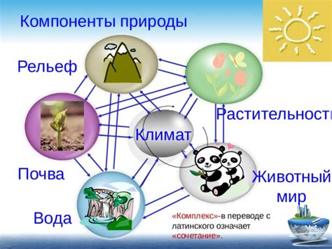 Климат, почва и растительность - ключевые компоненты загадочных явлений природы