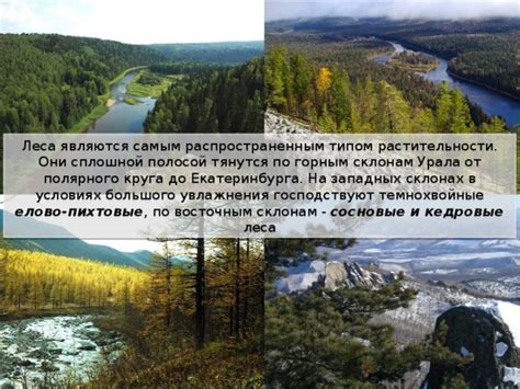 Климатические особенности на западных и восточных склонах Урала: разнообразие условий