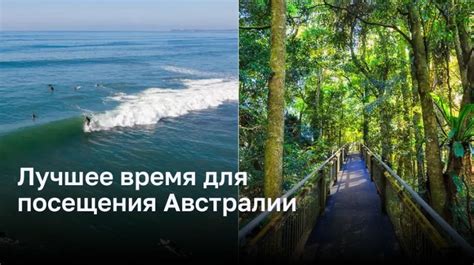 Климат Гоа и лучшее время для посещения