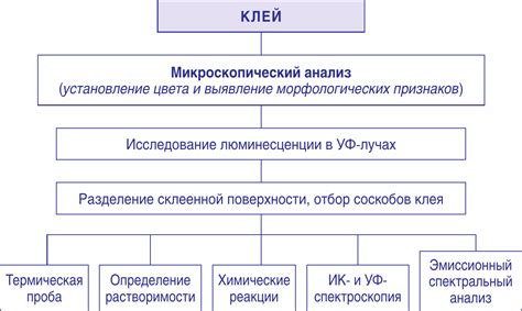 Ключевая роль криминалистического баллистического анализа в разделе "Особой части"