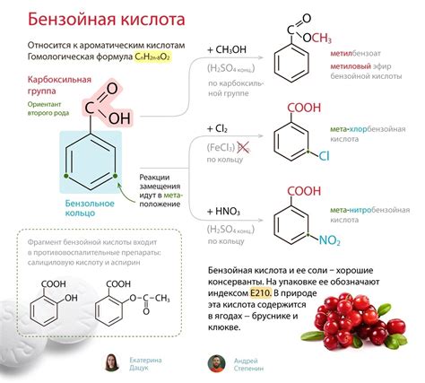 Ключевые компоненты ладана и их особенности: знакомство с химическим составом