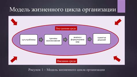 Ключевые принципы эффективной организации деятельности малого и среднего предприятия