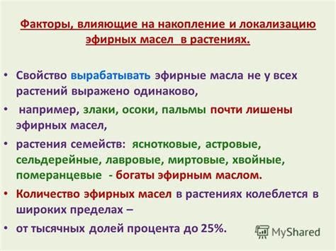 Ключевые факторы, влияющие на качество эфирных масел