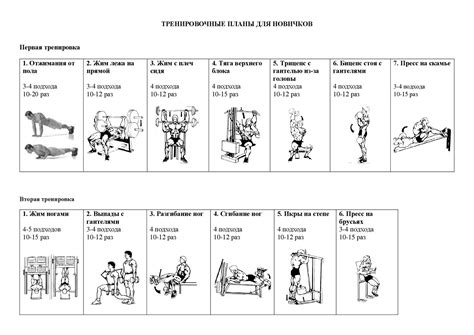Ключевые факторы при выборе обуви для тренировок в фитнес-зале