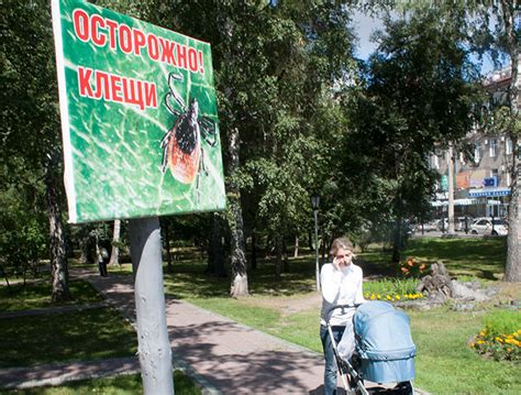 Когда обратиться за медицинской помощью после удаления клеща