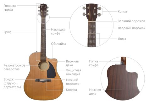 Компоненты и конструкция гитары