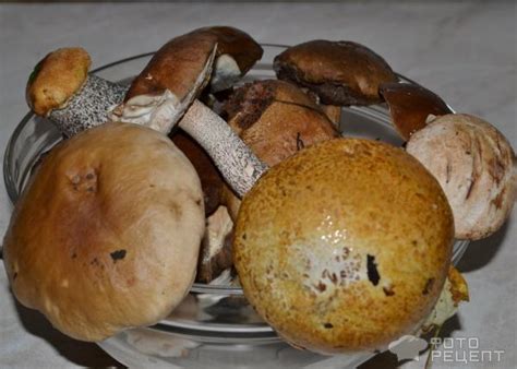 Консервированные подберезовики - долгий срок хранения и неизменный вкус