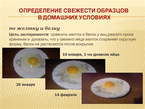 Консистенция: ключевой фактор в определении свежести куриных яиц