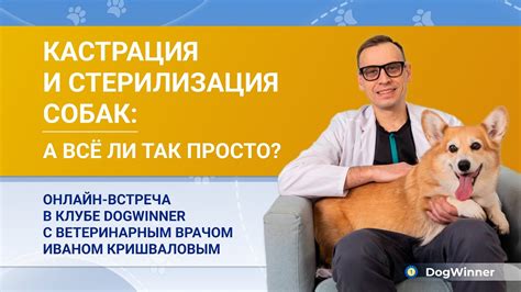Консультация с ветеринарным специалистом и применение специальных препаратов