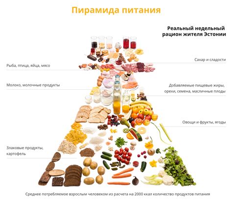 Контролируйте состав своего рациона питания
