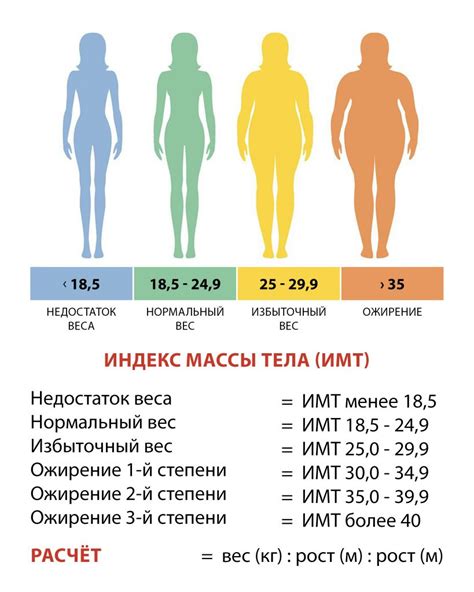 Контроль за весом молодых ягнят: эффективные методы регулирования массы